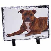 Staffordshire Bull Terrier 