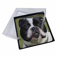 4x Black and White Staffordshire Bull Terrier Picture Table Coasters Set in Gift