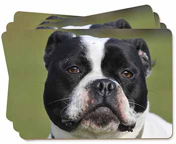 Black and White Staffordshire Bull Terrier Picture Placemats in Gift Box