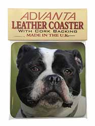 Black and White Staffordshire Bull Terrier Single Leather Photo Coaster