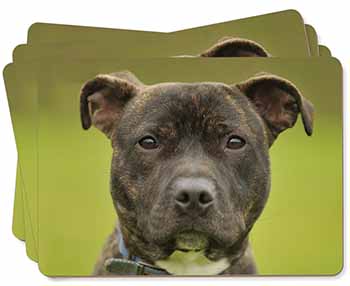 Staffordshire Bull Terrier Picture Placemats in Gift Box