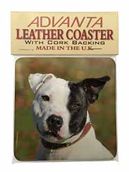 Staffordshire Bull Terrier Single Leather Photo Coaster