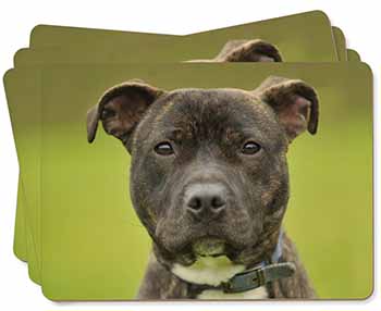 Staffordshire Bull Terrier Picture Placemats in Gift Box