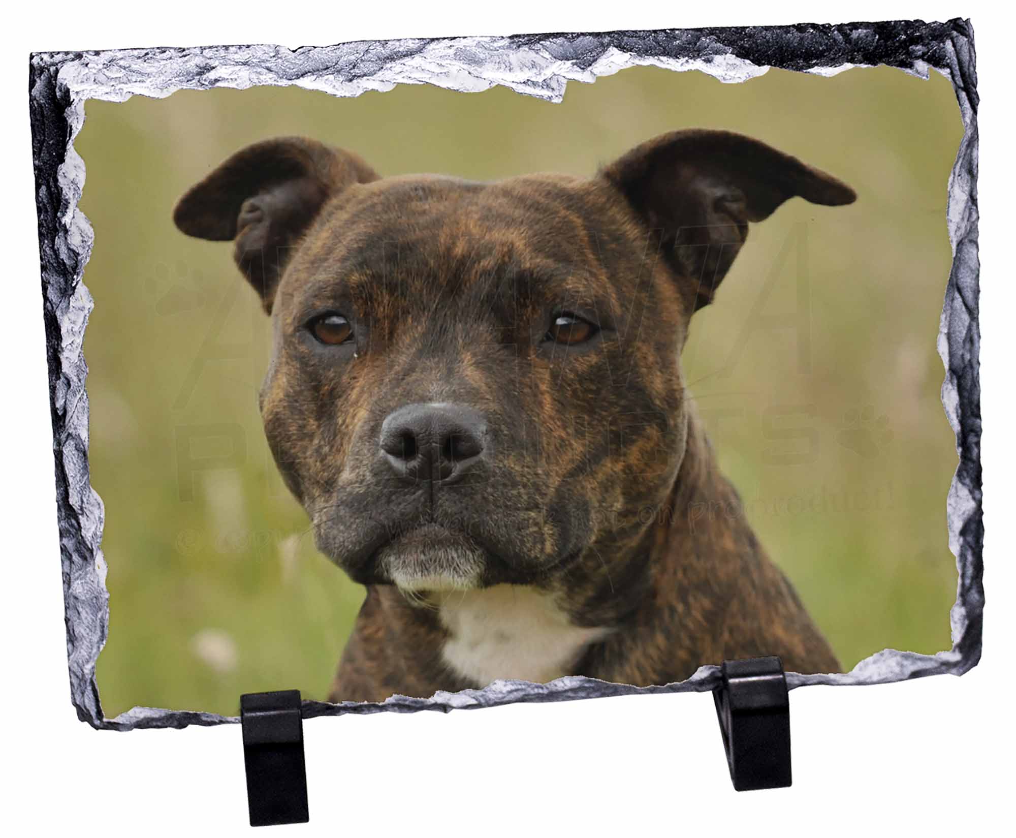 staffordshire bull terrier dog photo slate christmas gift glass elephant christmas ornament