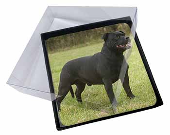 4x Black Staffordshire Bull Terrier Picture Table Coasters Set in Gift Box