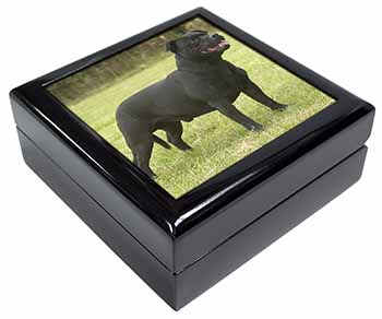 Black Staffordshire Bull Terrier Keepsake/Jewellery Box
