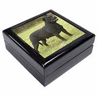 Black Staffordshire Bull Terrier Keepsake/Jewellery Box
