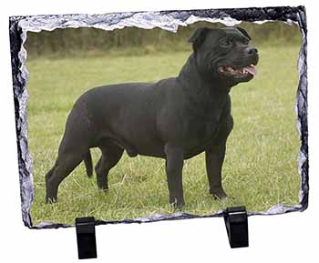Black Staffordshire Bull Terrier, Stunning Photo Slate