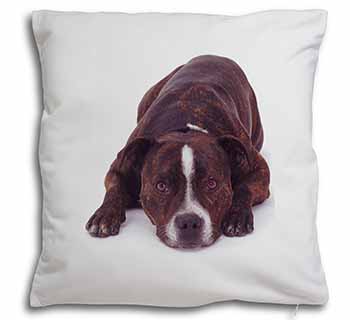 Staffordshire Bull Terrier Dog Soft White Velvet Feel Scatter Cushion