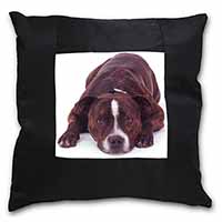 Staffordshire Bull Terrier Dog Black Satin Feel Scatter Cushion - Advanta Group®