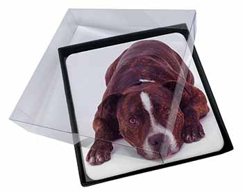 4x Staffordshire Bull Terrier Dog Picture Table Coasters Set in Gift Box