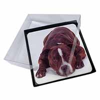 4x Staffordshire Bull Terrier Dog Picture Table Coasters Set in Gift Box