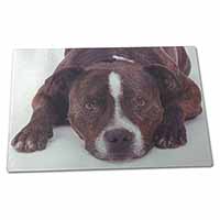 Large Glass Cutting Chopping Board Staffordshire Bull Terrier Dog