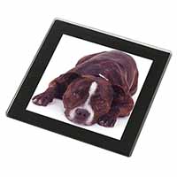 Staffordshire Bull Terrier Dog Black Rim High Quality Glass Coaster