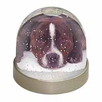 Staffordshire Bull Terrier Dog Snow Globe Photo Waterball