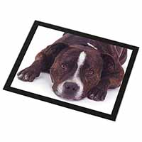 Staffordshire Bull Terrier Dog Black Rim High Quality Glass Placemat