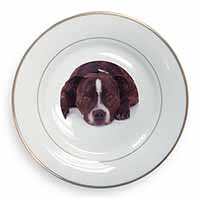 Staffordshire Bull Terrier Dog Gold Rim Plate Printed Full Colour in Gift Box