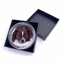Staffordshire Bull Terrier Dog Glass Paperweight in Gift Box