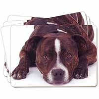 Staffordshire Bull Terrier Dog Picture Placemats in Gift Box - Advanta Group®