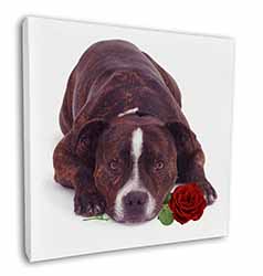 Brindle Staffie with Rose Square Canvas 12"x12" Wall Art Picture Print