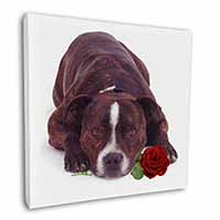 Brindle Staffie with Rose Square Canvas 12"x12" Wall Art Picture Print
