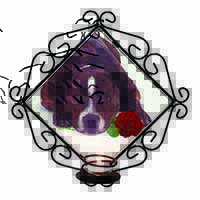 Brindle Staffie with Rose Wrought Iron Wall Art Candle Holder