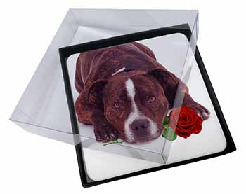 4x Brindle Staffie with Rose Picture Table Coasters Set in Gift Box