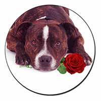 Brindle Staffie with Rose Fridge Magnet Printed Full Colour