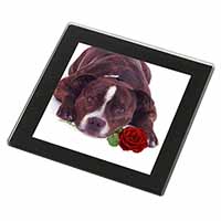 Brindle Staffie with Rose Black Rim High Quality Glass Coaster