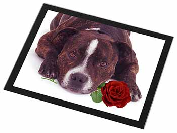 Brindle Staffie with Rose Black Rim High Quality Glass Placemat