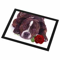 Brindle Staffie with Rose Black Rim High Quality Glass Placemat