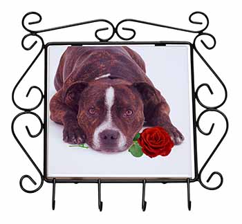 Brindle Staffie with Rose Wrought Iron Key Holder Hooks