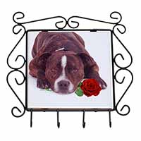 Brindle Staffie with Rose Wrought Iron Key Holder Hooks