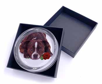 Brindle Staffie with Rose Glass Paperweight in Gift Box
