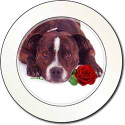 Brindle Staffie with Rose Car or Van Permit Holder/Tax Disc Holder