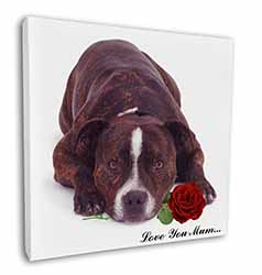 Staffie with Rose 