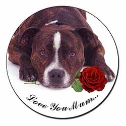 Staffie with Rose 