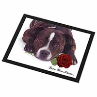 Staffie with Rose 