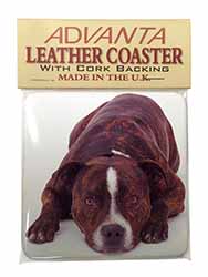 Staffordshire Bull Terrier Dog Single Leather Photo Coaster