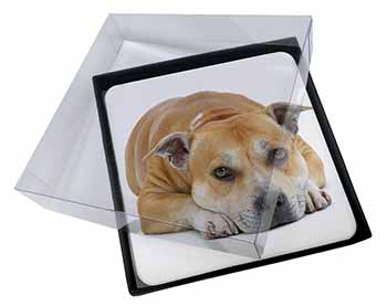 4x Red Staffordshire Bull Terrier Dog Picture Table Coasters Set in Gift Box