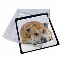 4x Red Staffordshire Bull Terrier Dog Picture Table Coasters Set in Gift Box - Advanta Group®