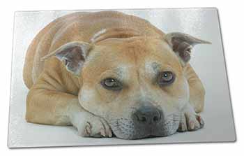 Large Glass Cutting Chopping Board Red Staffordshire Bull Terrier Dog