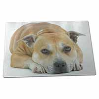 Large Glass Cutting Chopping Board Red Staffordshire Bull Terrier Dog