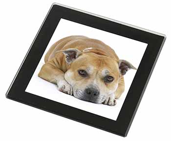 Red Staffordshire Bull Terrier Dog Black Rim High Quality Glass Coaster