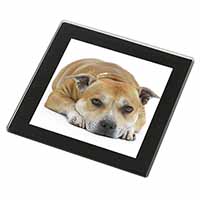 Red Staffordshire Bull Terrier Dog Black Rim High Quality Glass Coaster