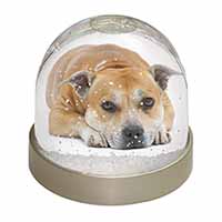 Red Staffordshire Bull Terrier Dog Snow Globe Photo Waterball