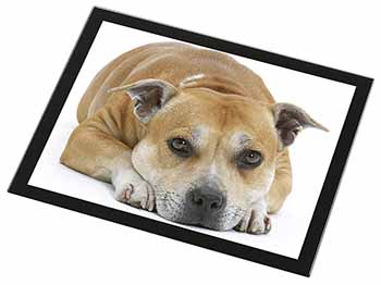 Red Staffordshire Bull Terrier Dog Black Rim High Quality Glass Placemat