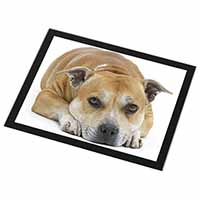Red Staffordshire Bull Terrier Dog Black Rim High Quality Glass Placemat