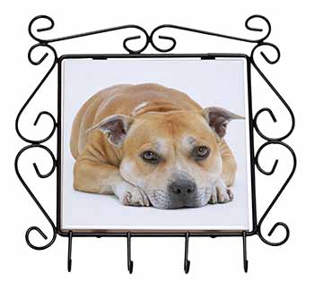 Red Staffordshire Bull Terrier Dog Wrought Iron Key Holder Hooks