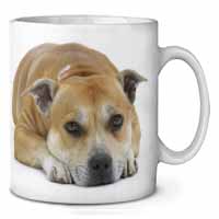Red Staffordshire Bull Terrier Dog Ceramic 10oz Coffee Mug/Tea Cup Printed Full Colour - Advanta Group®